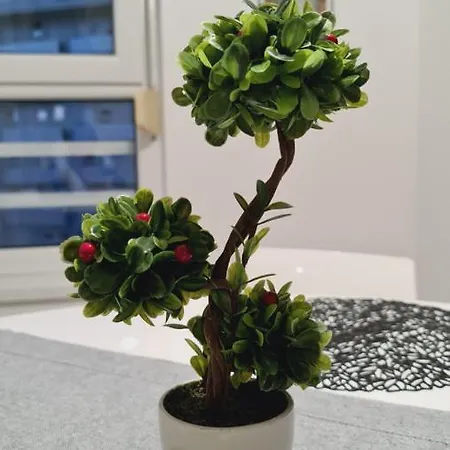 Belville Delta Apartment, Free Parking *